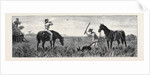 Wallaby Hunting, Queensland by Anonymous
