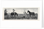 Wallaby Hunting, Queensland by Anonymous