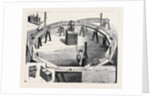 Professors Ayrton and Perry's New Electric Railway by Anonymous