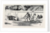 Round the World Yachting in the Ceylon, Calcutta: Cremation by Anonymous