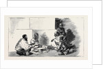 Round the World Yachting in the Ceylon, Calcutta: A Public Letter-Writer by Anonymous
