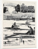The Sculling Match on the Tyne Between Hanlan and Boyd for the Championship of the World by Anonymous