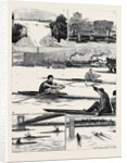 The Sculling Match on the Tyne Between Hanlan and Boyd for the Championship of the World by Anonymous