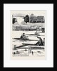 The Sculling Match on the Tyne Between Hanlan and Boyd for the Championship of the World by Anonymous