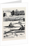 The Sculling Match on the Tyne Between Hanlan and Boyd for the Championship of the World by Anonymous