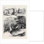 Ireland, the Assassination of Mrs. Henry Smythe by Anonymous