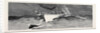 Harpooning a Porpoise, Mauritius by Anonymous