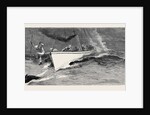 Harpooning a Porpoise, Mauritius by Anonymous