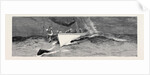 Harpooning a Porpoise, Mauritius by Anonymous