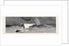 Harpooning a Porpoise, Mauritius by Anonymous