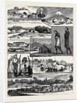 The Recent Native Troubles in New Zealand by Anonymous