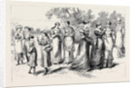 Rational Dress for Ladies, Notes at the Exhibition of Hygienic Costume by Anonymous
