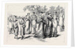 Rational Dress for Ladies, Notes at the Exhibition of Hygienic Costume by Anonymous