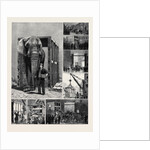 The Removal of Jumbo, on the Way to the Docks by Anonymous