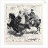 Varzin, the Morning Ride by Anonymous