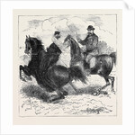 Varzin, the Morning Ride by Anonymous