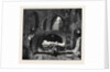 Romeo and Juliet at the Lyceum Theatre, Act V. Scene IV; Friar Laurence: Romeo! O Pale! Who Else? What! Paris Too? by Anonymous