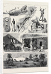 Round the World Yachting in the Ceylon, Bombay by Anonymous
