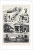 Round the World Yachting in the Ceylon, Bombay by Anonymous