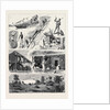 Round the World Yachting in the Ceylon, Bombay by Anonymous