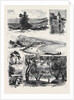 Her Majesty's Visit to Mentone by Anonymous
