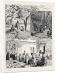 Her Majesty's Visit to Mentone by Anonymous