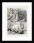 Her Majesty's Visit to Mentone by Anonymous