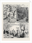 Her Majesty's Visit to Mentone by Anonymous