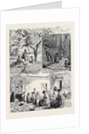 Her Majesty's Visit to Mentone by Anonymous