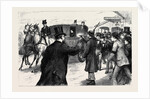The Attempt on the Life of the Queen: The Arrest of the Would-Be Assassin, Roderick Maclean by Anonymous