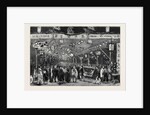 The Young Princes on Their Cruise: Illuminations at Singapore by Anonymous
