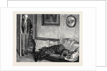 Marion Fay: A Novel: She Threw Herself at Full Length on the Sofa, and Burst Into an Ecstasy of Tears. Then Her Father Returned to Her. by Anonymous