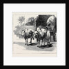 Round the World Yachting in the Ceylon, Ceylon: A Bullock-Cart by Anonymous