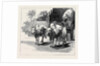 Round the World Yachting in the Ceylon, Ceylon: A Bullock-Cart by Anonymous