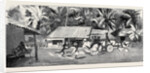Round the World Yachting in the Ceylon, Ceylon: Our Drive to Wakwallah by Anonymous