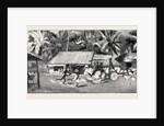 Round the World Yachting in the Ceylon, Ceylon: Our Drive to Wakwallah by Anonymous