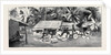 Round the World Yachting in the Ceylon, Ceylon: Our Drive to Wakwallah by Anonymous