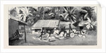 Round the World Yachting in the Ceylon, Ceylon: Our Drive to Wakwallah by Anonymous