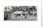 Round the World Yachting in the Ceylon, Ceylon: Our Drive to Wakwallah by Anonymous