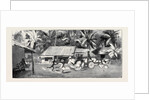 Round the World Yachting in the Ceylon, Ceylon: Our Drive to Wakwallah by Anonymous