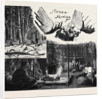 Moose Hunting in Nova Scotia by Anonymous
