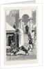 Round the World Yachting in the Ceylon; Smyrna and Ephesus: A Street Encounter by Anonymous