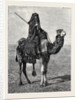 Egypt: A Travelling Bedouin by Anonymous