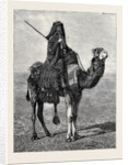 Egypt: A Travelling Bedouin by Anonymous
