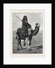 Egypt: A Travelling Bedouin by Anonymous