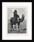 Egypt: A Travelling Bedouin by Anonymous