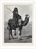 Egypt: A Travelling Bedouin by Anonymous