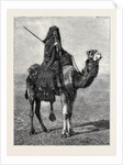 Egypt: A Travelling Bedouin by Anonymous