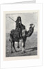 Egypt: A Travelling Bedouin by Anonymous