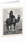 Egypt: A Travelling Bedouin by Anonymous